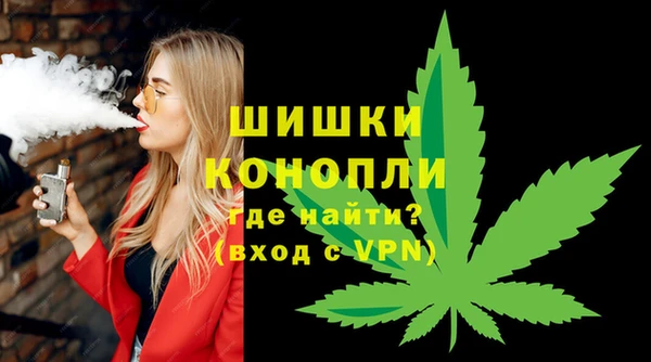 сатива Арсеньев